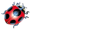 My Website